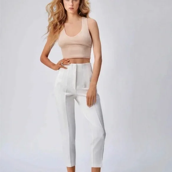 Blogger Fav ZARA High Waisted Trousers - Picture 15 of 15